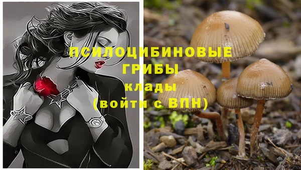 ешки Балабаново