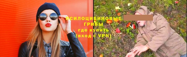 прущий лед Снежногорск