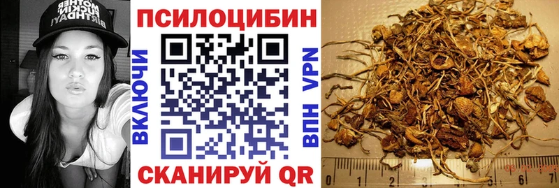 Псилоцибиновые грибы мицелий  blacksprut ONION  Лесной 